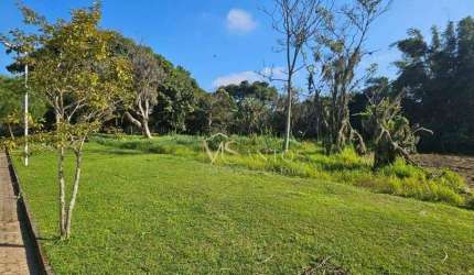 Terreno à venda, 3333 m² por R$ 1.450.000,00 - Ratones - Florianópolis/SC