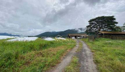 Fazenda à venda, 800000 m² por R$ 7.500.000,00 - Paulo Lopes - Paulo Lopes/SC