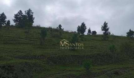 Fazenda à venda, 218000 m² por R$ 990.000,00 - Taquaraçutuba - Imaruí/SC