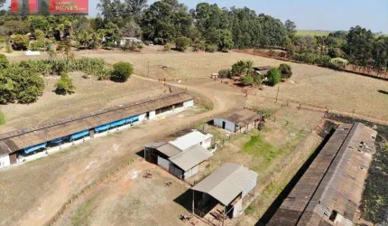 GRANJA CAMPO VERDE, Bairro do Tatu, LIMEIRA-SP - 11,2758ha ou 5 alqueires