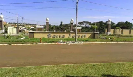 Terreno à venda, 250 m² por R$ 164.000,00 - Condomínio Barra Forest - Londrina/PR