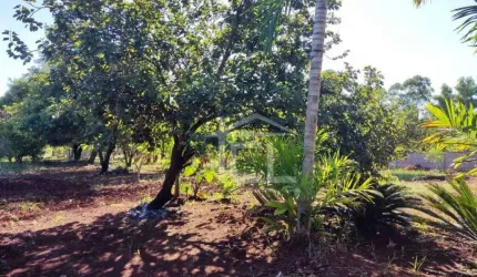Chácara à venda, 20012 m² por R$ 1.200.000,00 - Fazenda Nata - Londrina/PR