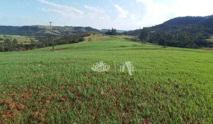 Sítio à venda, 212960 m² por R$ 2.000.000,00 - Zona Rural - Tamarana/PR