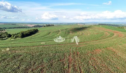 Fazenda à venda em Cornélio Procópio - Pr com 168 alqueires – Zona Rural de Cornélio Procópio/PR