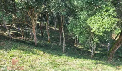 Terreno à venda, 1562 m² por R$ 550.000,00 - Condomínio Reserva Ibirapitanga - Santa Isabel/SP