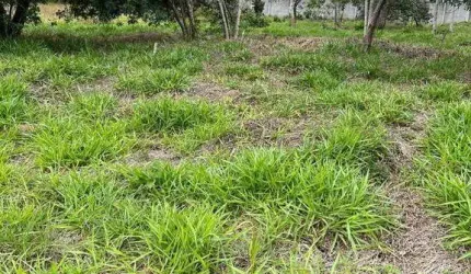 Terreno à venda, 1172 m² por R$ 430.000,00 - Condomínio Reserva Ibirapitanga - Santa Isabel/SP