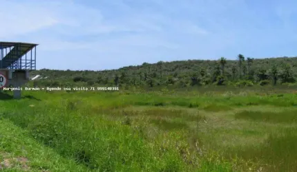 Terreno para Venda em Camaçari, Arembepe