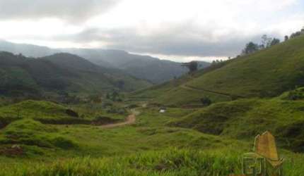 Terreno à venda na Sc 407, Santa Filomena, São Pedro de Alcântara por R$ 650.000