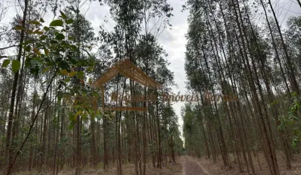 Fazenda para Venda em Botucatu, Área Rural de Botucatu