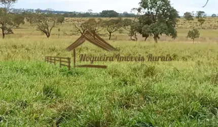 Fazenda para Venda em Cassilândia, Área rural