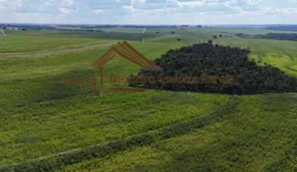 Fazenda para Venda em Avaré, Área Rural de Avaré