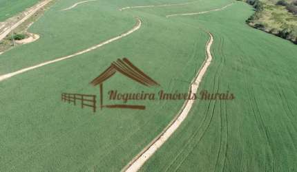 Fazenda para Venda em Porto Feliz, Área Rural de Porto Feliz