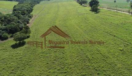 Fazenda para Venda em Itapetininga, Área Rural de Itapetininga