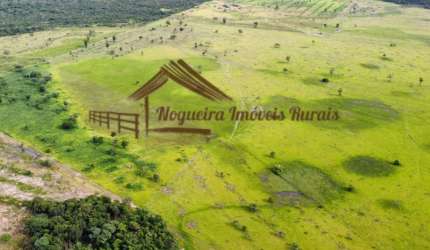Fazenda para Venda em Formoso do Araguaia, Área rural