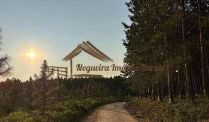 Fazenda para Venda em Itapetininga, Área Rural de Itapetininga