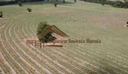 Sítio para Venda em Itapetininga, Área Rural de Itapetininga