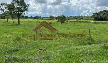 Sítio para Venda em Quadra, Área rural