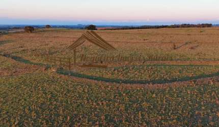 Fazenda para Venda em Bofete, Área rural