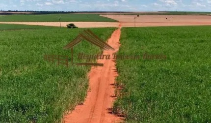 Fazenda para Venda em Presidente Prudente, Área Rural de Presidente Prudente