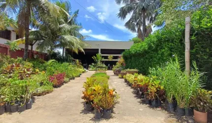 Ponto Comercial para Venda em Araruama, Coqueiral, 2 banheiros