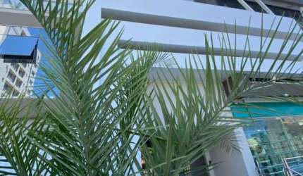 Apartamento com 2 quartos à venda na Avenida Joaquim Couto, 6885, Gravata, Navegantes por R$ 770.000