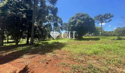Terreno à venda, 66757 m² por R$ 3.300.000,00 - Chapada - Ponta Grossa/PR
