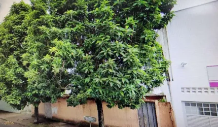 Terreno para Venda em Uberlândia, Patrimônio
