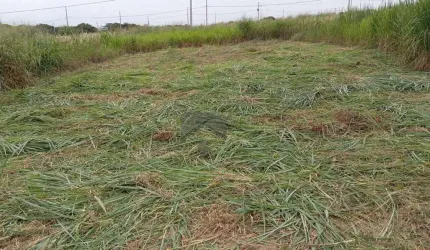 Lote / Terreno em Porto Belo  -  Foz do Iguaçu
