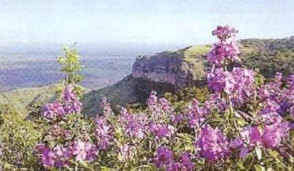 Sítio à venda em Chapada dos Guimarães MT