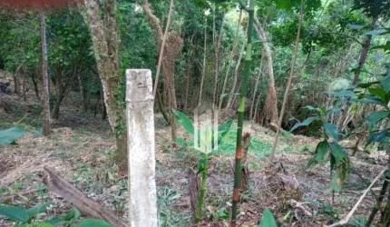 Terreno à venda, 3111 m² por R$ 450.000,00 - Cigarras - São Sebastião/SP