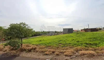 Terreno em Bady Bassitt com 220m²
