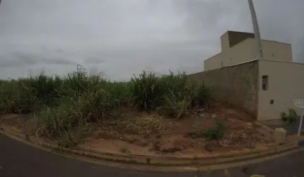 Terreno Padrão em Bady Bassitt