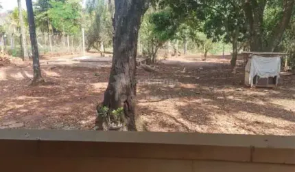 Rural Chácara em São José do Rio Preto