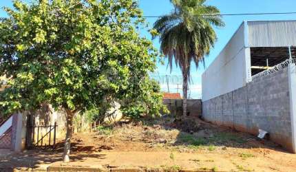 Terreno Padrão em São José do Rio Preto