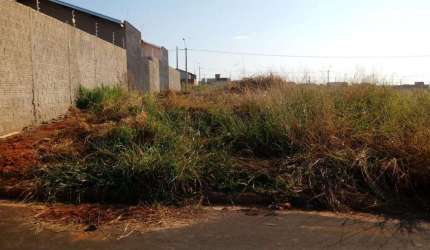 Terreno Padrão em São José do Rio Preto