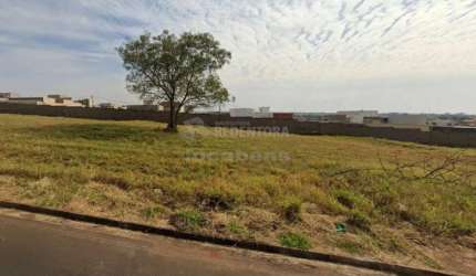 Terreno Padrão em São José do Rio Preto
