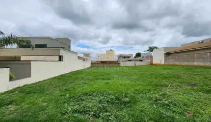 Terreno Venda Condomínio Jardim Botânico