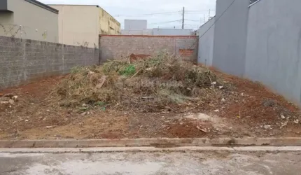 Terreno Residencial - São Thomaz