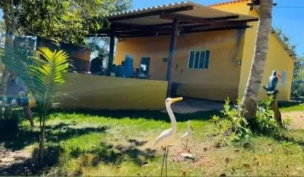Rancho Corumbá III Luziânia 2 Quartos 1 Suíte 1000m² Fogão Caipira Quintal