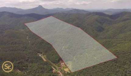 Area para compensação de carbono