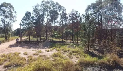 Terreno para Venda em Campo Limpo Paulista, FIGUEIRA BRANCA