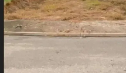 Terreno à venda em Boituva-SP, Residencial Vitiello, 198m² de área!