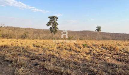 Fazenda  234 Hectares para Pecuaria à venda, na  Região  Faval, Nossa Senhora do Livramento, MT