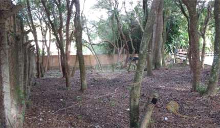 Terreno à venda em Vila Conceição - RS