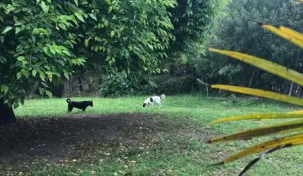 Terreno em Condomínio para Venda em São Gonçalo Pelotas-RS -