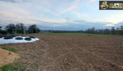 Fazenda Espetacular no Capão do Leão-RS próximo de Pelotas