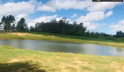 Lindo Sitio em Monte Bonito Pelotas-RS com 3 Casas