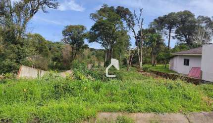 Terreno à venda, 828 m² por R$ 240.000,00 - Alto das Palmeiras - Canoinhas/SC