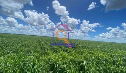 FAZENDA DUPLA APTIDÃO  COM 4.560 FORMADA EM MAMBAI - MG