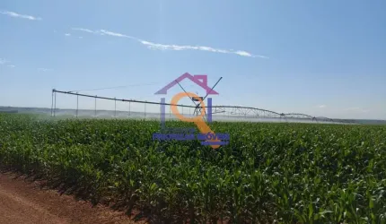 FAZENDA DUPLA APTIDÃO COM 2.220 HA FORMADA  EM IPAMERI- GO